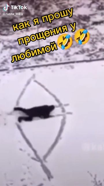 Download - 2025-02-18T022637.240 смотреть онлайн