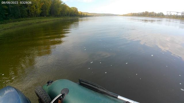 рыбалка на хищника