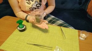 ПСЕВДОЛИТОС. СЕЮ БЕЗ ТАНЦЕВ С БУБНОМ