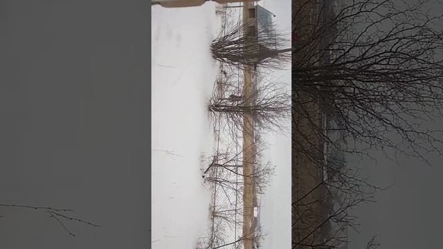 Часть I Странные дела творятся в Самарской области. "Динозавр отправляется" смотреть онлайн