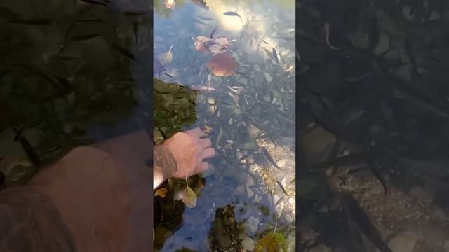 рыбное место. смотреть онлайн