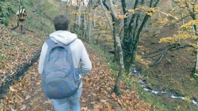 November's trip смотреть онлайн