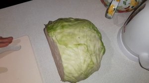 Расходы на питание. День № 21 и 22. Бризоль, мясо-капустные вареники.