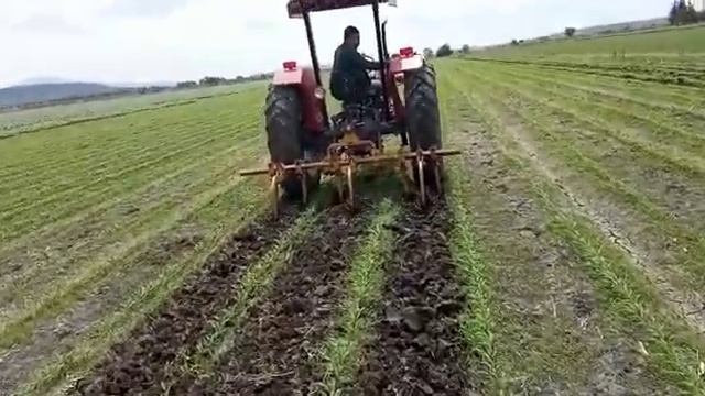 ¡¡ACABANDO CON EL ZACATE EN EL SORGO!! смотреть онлайн