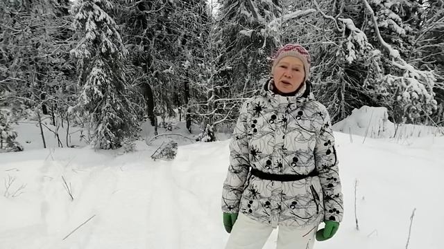 По следу Полярной совы смотреть онлайн