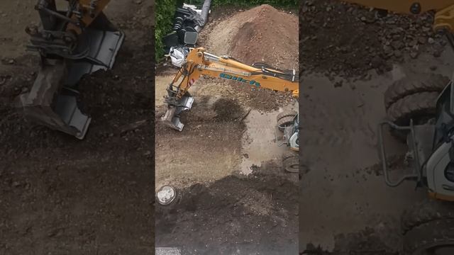 посадка растений на территории дома. ландшафтные работы. 12.05.23(4) смотреть онлайн