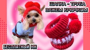 Вяжем шапочку для собаки крючком | Подробный мастер-класс