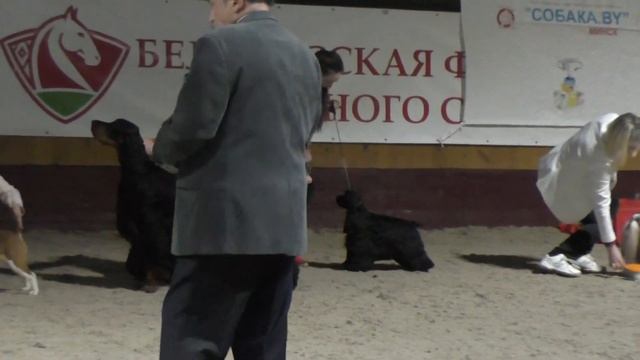 TI AY SHI MONTI - Best in show again смотреть онлайн