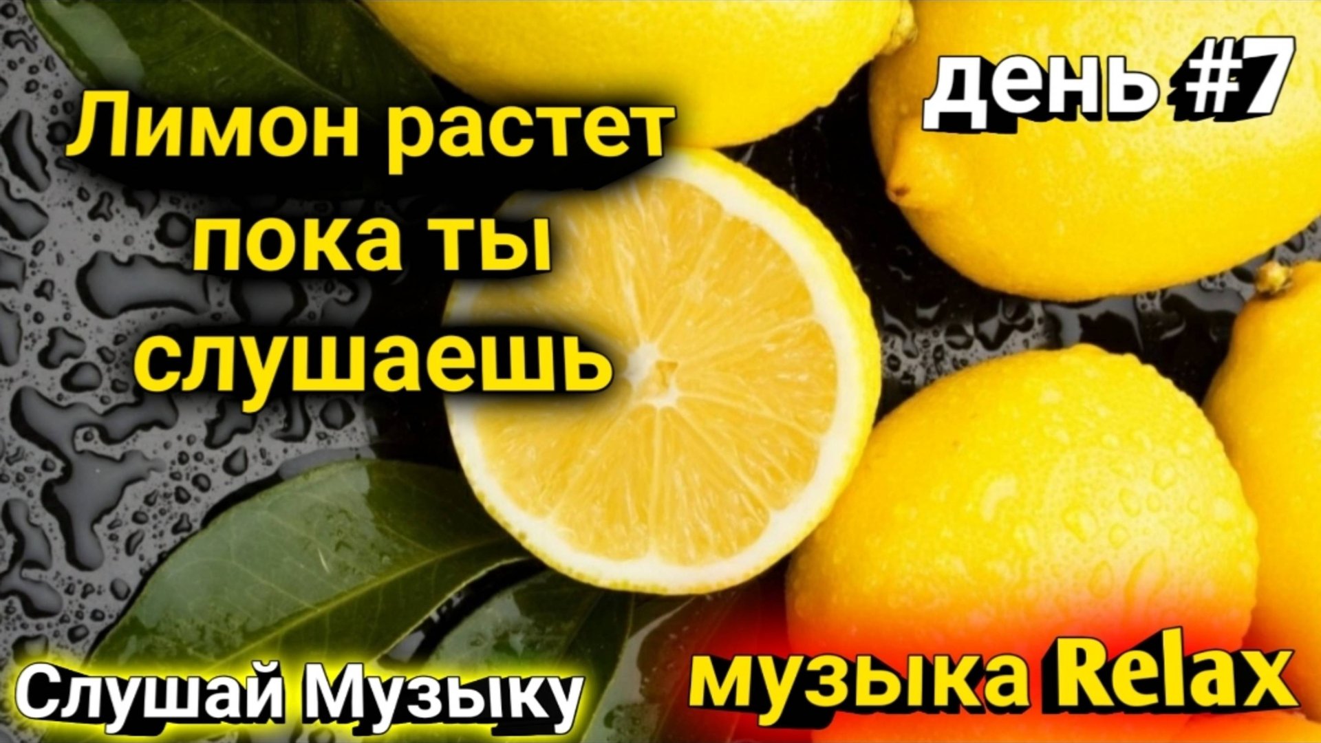 Слушай музыку  Relax с Лимоном / музыка от Лимона
