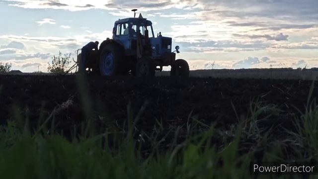 🚜Сажаем картошку с папой🥔🥕🌰//🌷🌳Мамулин цветущий сад//🌧Май 2020 смотреть онлайн