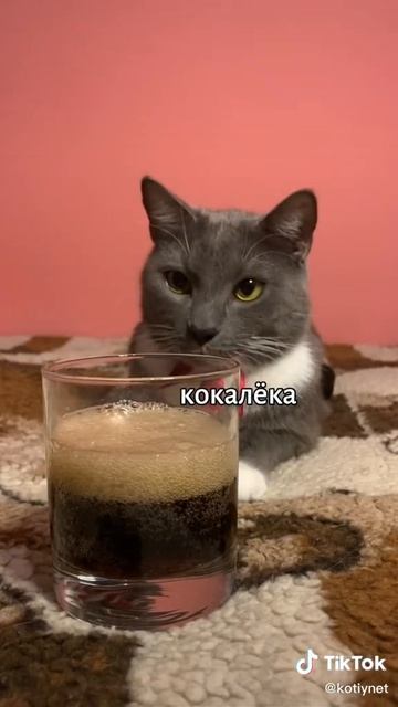 Download - 2025-02-18T013258.039 смотреть онлайн