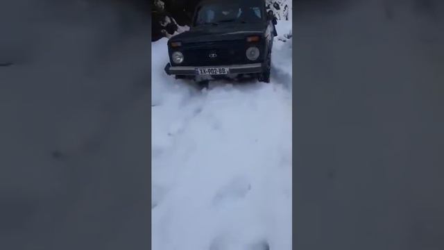 diegos niva yvelgan miva смотреть онлайн