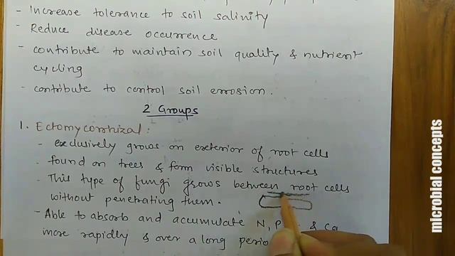 Mycorrhiza #VAM #ectomycorrhiza #endomycorrhiza смотреть онлайн