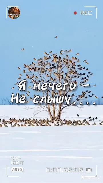 О Ком???🤔.mp4 смотреть онлайн