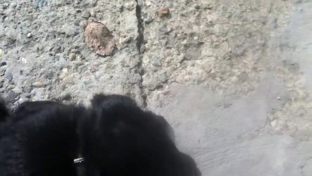 КУЗЯ В ДЕТСТВЕ смотреть онлайн