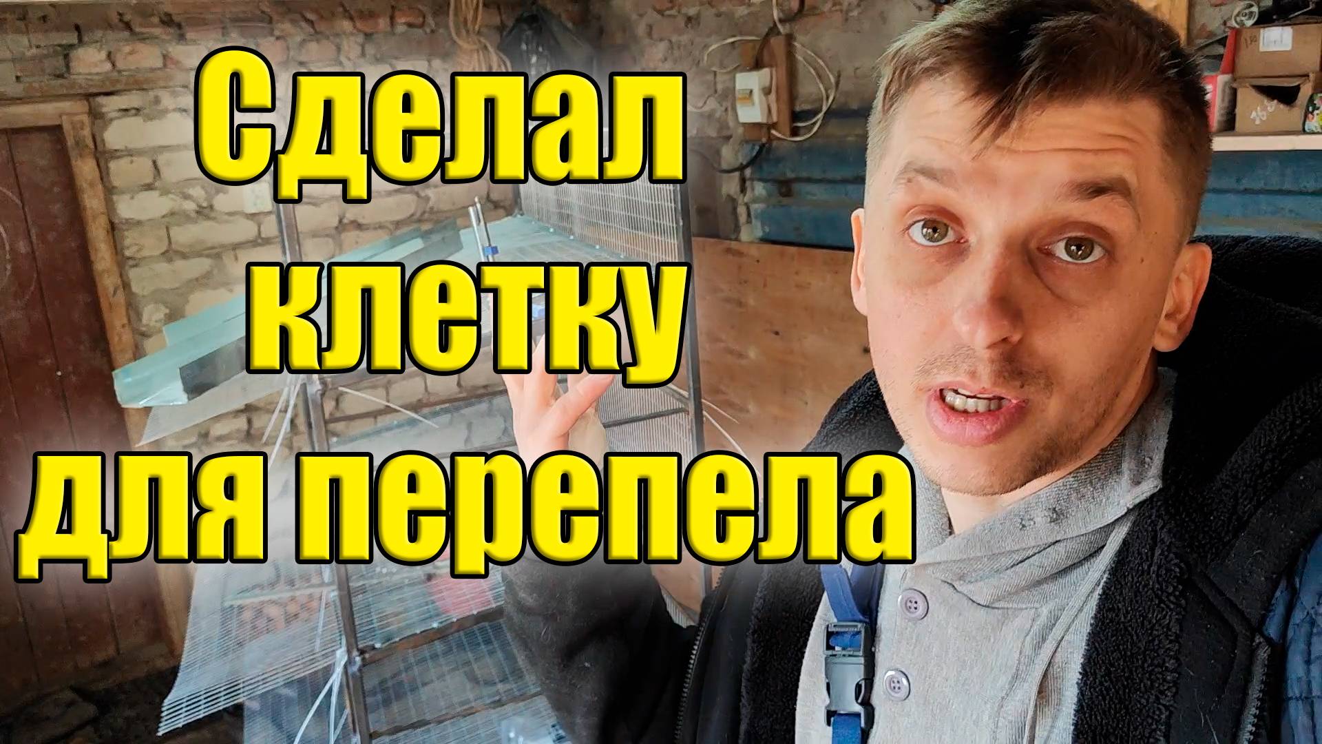 Увеличиваем поголовье перепёлок смотреть онлайн