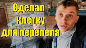 Увеличиваем поголовье перепёлок