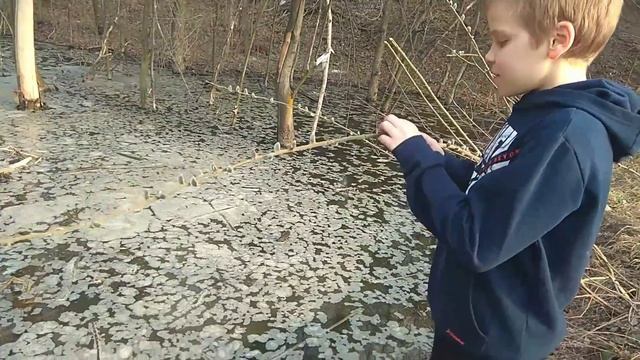 Встречаем весну. Первые цветы. смотреть онлайн