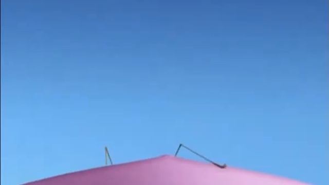 Minuscule Zzzeplin