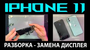 ✅iPhone 11 - РАЗБОРКА И ЗАМЕНА ДИСПЛЕЯ📲