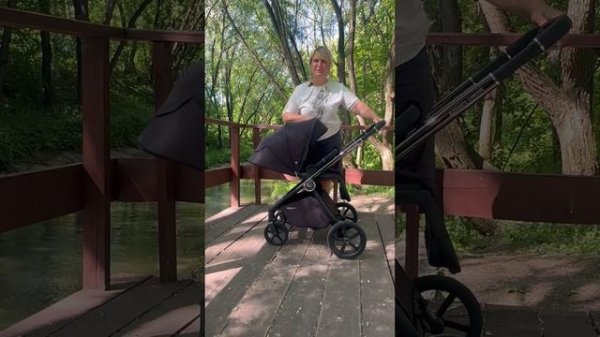 Обзор прогулочной коляски Elegante | SWEET BABY