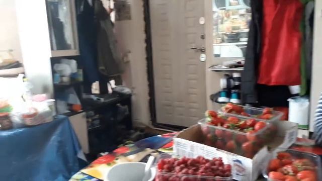 Клубника у Зубцовых. Нашествие мышей в Новопокровской. смотреть онлайн