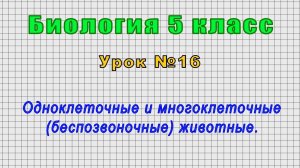 Биология 5 класс (Урок№16 - Одноклеточные и многоклеточные (беспозвоночные) животные.)