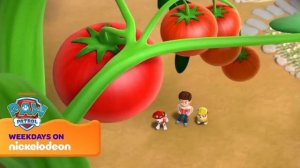 Щенячий патруль | Лучшие спасения Маршалла на пожарной машине! | Nick Jr. Cyrillic