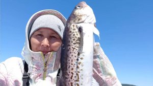 Богатое Охотское море. Попала в косяк рыбы.