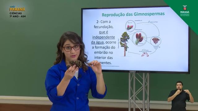 7º Ano | Ciências | Aula 54 - Gimnospermas: Características e Reprodução - Parte 2 смотреть онлайн