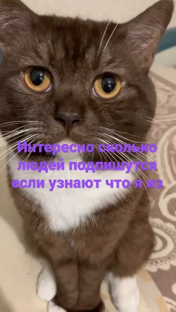 Хм🥰 смотреть онлайн