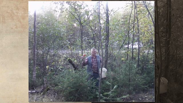 Юбилей друга смотреть онлайн