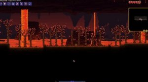 Все секретные сиды в террарии