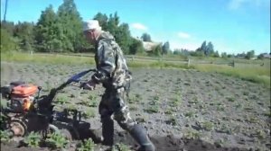 окучивание картошки на первый раз окучником.