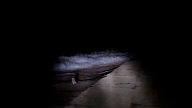 Short-eared owl смотреть онлайн