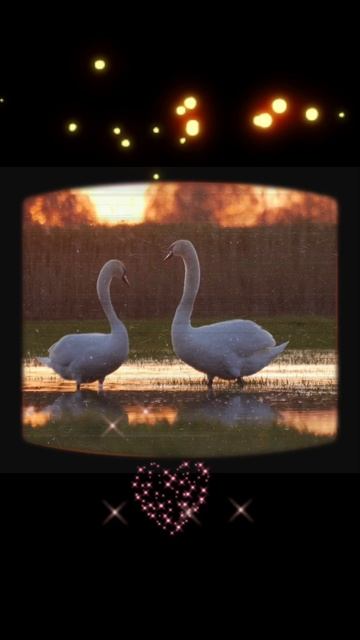 «Не бойся» Юрий Шатунов смотреть онлайн