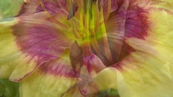 Spring is coming 2017