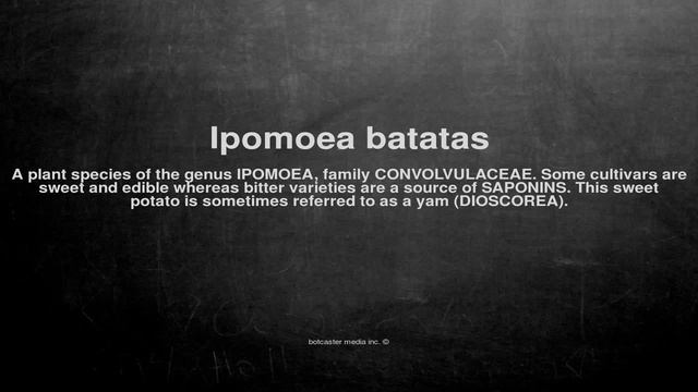 Medical vocabulary: What does Ipomoea batatas mean смотреть онлайн