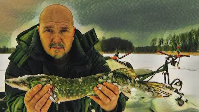 И снова селигерская щука на поставушку