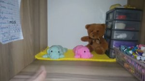 Обзор перестановки у сквиш собачек💖🐶