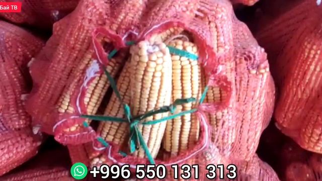 ЖЕМ ИЗДЕГЕНДЕР ҮЧҮН! ЖҮГӨРҮ! Билайн: 📲0777607980 смотреть онлайн