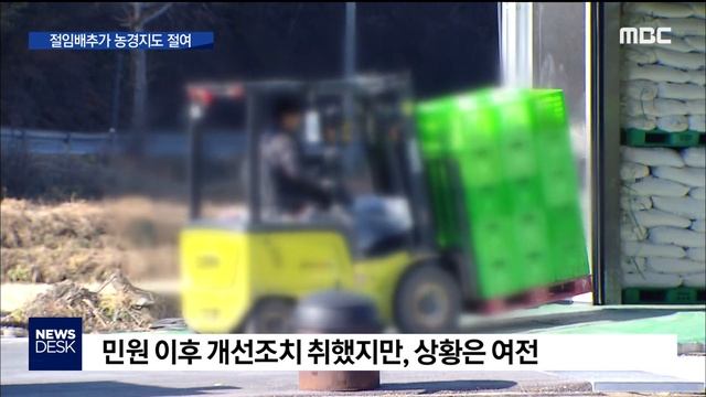 2019. 11. 19 [원주MBC] 배추 절이다 인근 농경지까지.. смотреть онлайн