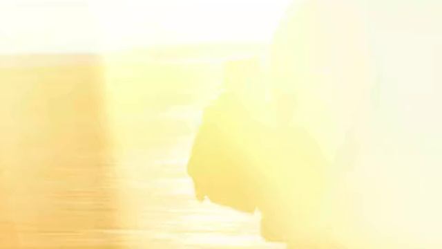 WARN 75th Anniversary -video