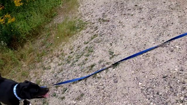 Week 1 Private Lesson Long Line with Jasmine смотреть онлайн