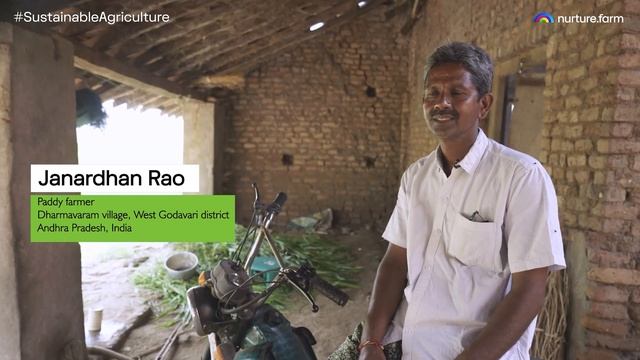 dhaana: How nurture.farm is implementing AWD (Alternate Wetting & Drying) for paddy farmers смотреть онлайн
