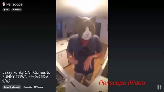 Jazzy Funky CAT | Periscope HD | FEB 2016 смотреть онлайн