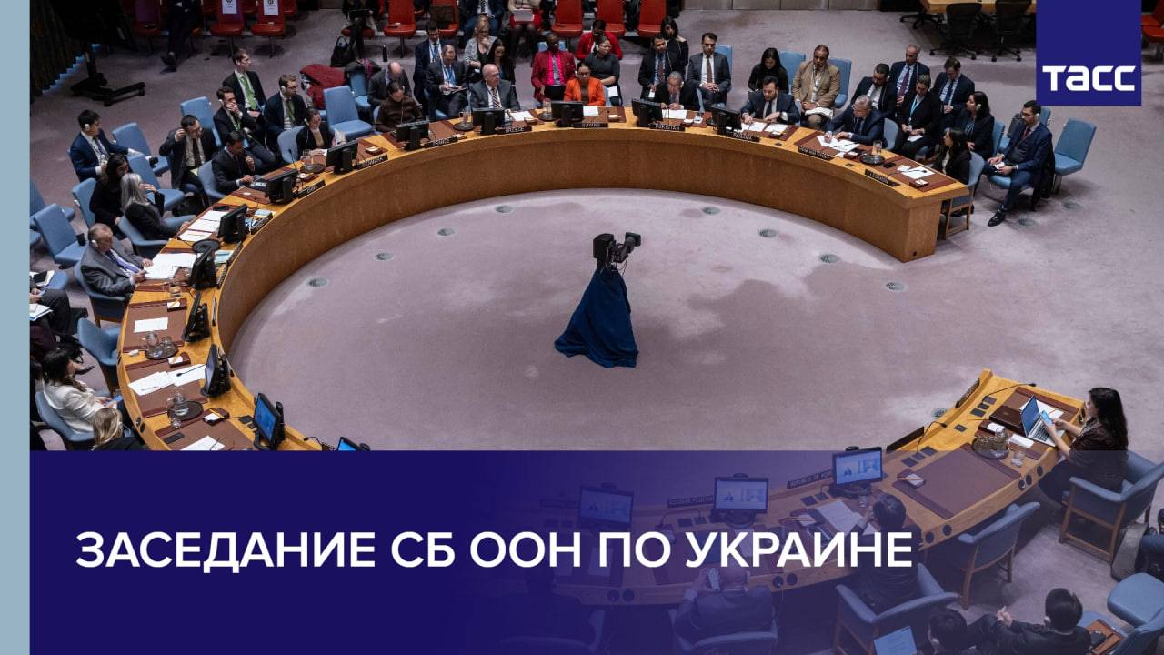 Заседание СБ ООН по Украине