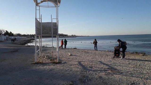 28 марта 2022, два лебедя не улетели из бухты смотреть онлайн