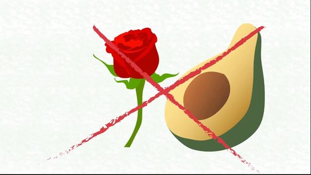 Las plantas - 08 смотреть онлайн