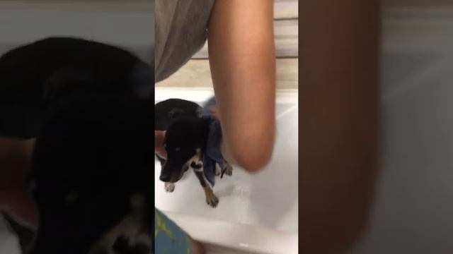 Дина молятся смотреть онлайн